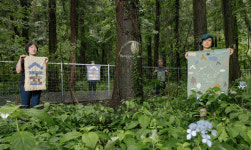 “자연이 인간의 것이냐”… 숨통이 끊기기 직전, 숲이 물었다 [밀착취재]