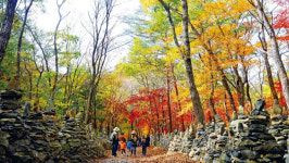 “2022년 여름휴가 농촌 ‘팜스테이’ 마을로 떠나요”