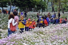 정읍 구절초 테마공원, 전북 지방정원 첫 등록