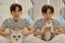 김태진, 교통사고 피해 고백 “가해자, 어리고 어리석다. 인생은 실전”