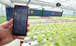 ‘데이터 일꾼’ 부리는 청년들…농촌의 희망등불 되다 [밀착취재]