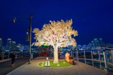 한글의 화려한 변신…국내 최장 금강보행교 ‘이응다리’ 가보셨나요 [최현태 기자의 여행홀릭]