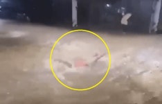 차 위의 ‘서초동 현자’ 선택은 안전했고…‘신림동 펠프스’는 바람직하지 못했다