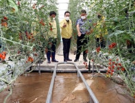 이성희 농협중앙회장, 집중호우 피해 농업 현장 점검 광폭 행보
