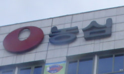 신라면 값 1년새 21% ‘껑충’… 물가 안정 땐 가격 인하? [이슈+]