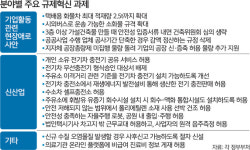 주유소에 전기차 충전기·공원내 자율주행로봇 출입 허용