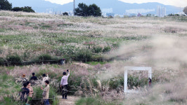 [포토] 가을색 완연한 하늘공원