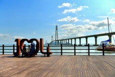 ‘I PURPLE YOU’… 천사대교 건너 만나는 보라세상 신안 퍼플섬 트레킹 [최현태 기자의 여행홀릭]