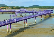 ‘I PURPLE YOU’… 천사대교 건너 만나는 보라세상 신안 퍼플섬 트레킹 [최현태 기자의 여행홀릭]