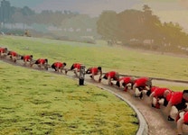 中노인 수백수천명 떼지어 엉금엉금…‘악어 걸음’이 뭐지?[영상]