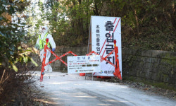 예천 육용종계 농장서 고병원성 AI… 올가을 두 번째