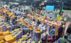 큰 불 난 대구농수산물도매시장 거래 실적 정상 회복