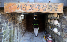폐광굴서 농익는 새우젓… “김장 김치맛 걱정을 마오” [밀착취재]