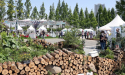 전주시 내년 정원산업박람회 5월 개최 …참여 업체 내달 11일까지 모집