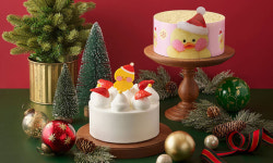 설레는 연말 X-MAS 케이크 뭘 고를까