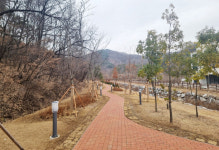 대구 동구, 혁신도시에 미세먼지 차단숲 조성