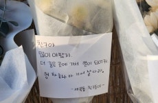 보름 만에 또…강남 스쿨존 인근 횡단보도서 초등생 사망케 한 버스 기사 입건