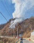 예천서 이틀 연속 또 ‘산불’… 0.2㏊ 태우고 진화
