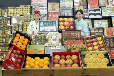 농협유통 하나로마트, 계묘년 설 선물세트 본격 판매