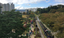 폐선로 9㎞에 만든 ‘철길숲’… 회색도시, 녹색으로 물들다 [지방기획]