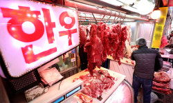 한우값은 ‘뚝뚝’ 소비자는 ‘감감’… 문제는 유통구조 [이슈 속으로]