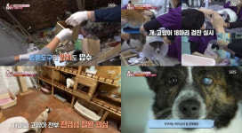 TV 동물농장이 폭로한 야생동물 카페 사장…결국 학대 혐의로 구속 송치