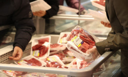 농식품부 장관 “2024년까지 소 14만마리 줄여 한웃값 안정화”