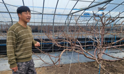 작년 3억 수익…열대 작물 만나 인생 핀 귀농인 [귀농귀촌애(愛)]