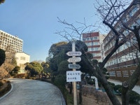 초등 수업·대학 강의를 같은 건물에서?…덕성여대 종로캠퍼스 논란