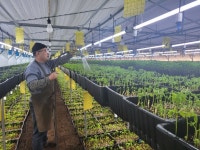 연간 매출 8억원··· “농사도 세일즈 시대 귀농인도 똑같아” [귀농귀촌애(愛)]