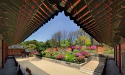 봄나들이·산책엔 ‘궁궐·왕릉·종묘’ 제격…문화재청 “3월 말~4월 초 봄꽃 절정”
