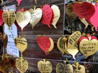 3년 젊어지는 고란사 약수 마시고 백마강 뱃놀이 떠나볼까 [최현태 기자의 여행홀릭]