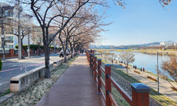 대구 동구, ‘호국의 길 데크로드’ 조성 완료