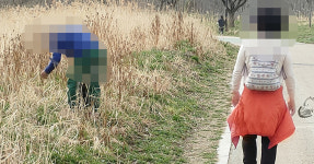 ‘향긋한 봄나물’ 알고보니 ‘중금속 범벅’...도로변 쑥·냉이 “먹지마세요” [김기자의 현장+]