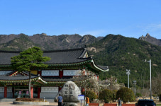 왕인박사 흔적 따라가는 영암 구림마을 여행 [최현태 기자의 여행홀릭]