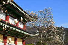 왕인박사 흔적 따라가는 영암 구림마을 여행 [최현태 기자의 여행홀릭]
