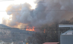 “이렇게 큰 불난리 처음”… 강풍 탄 화마에 민가·농장 잿더미