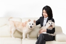 김건희 여사 “개 식용 종식 위해 노력할 것” 근절 의지 재차 밝혀