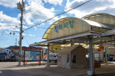 “여기가 동백 찍은 곳”… 입소문 타고 ‘여행 성지’ 떠오른 포항 [심층기획]