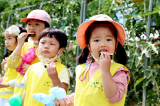 “수박 드시러 오세요”…23일까지 ‘의령 토요애 수박축제’