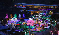 54만년 세월이 빚은 천혜 비경… 숲길·물길 따라 ‘웰니스 만끽’ [지방기획]