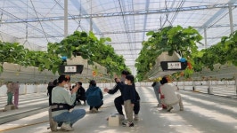 꼭 재배해보고 작물 선택…초보 귀농인의 스마트 팜 도전기 [귀농귀촌애(愛)]