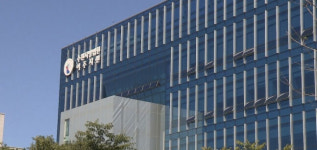 1마리당 1만원 받은 뒤 개·고양이 1000마리 죽인 60대 징역 3년 실형