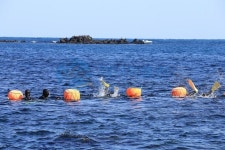 제주도, 75세 이상 해녀 은퇴 수당 3년간 월 50만원으로 인상