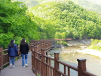 “암튼 걷는 겨”…충북 영동 월류봉 둘레길 27, 28일 걷는다