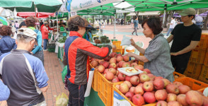 [포토] 올림픽공원에서 만나는 전국 농수산물