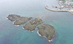 ‘포항 오도리 주상절리’ 천연기념물 된다