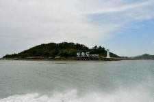 백살 팽나무와 수국 어우러진 신안 환상의 정원 걸어볼까 [최현태 기자의 여행홀릭]