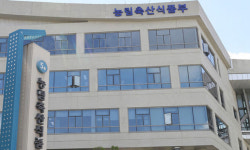 고양이 사료에서 AI항원 확인… 네이처스로우 ‘밸런스드 덕’, ‘밸런스드 치킨’
