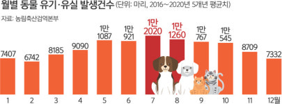 “가족이라면서” 휴가철 반려동물 유기 여전